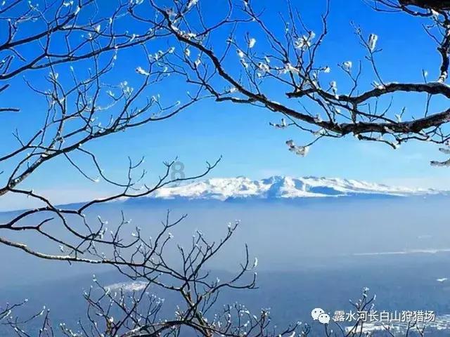 《声生不息》胡彦斌成《繁花》推广大使，但同时还遭遇伤心二连