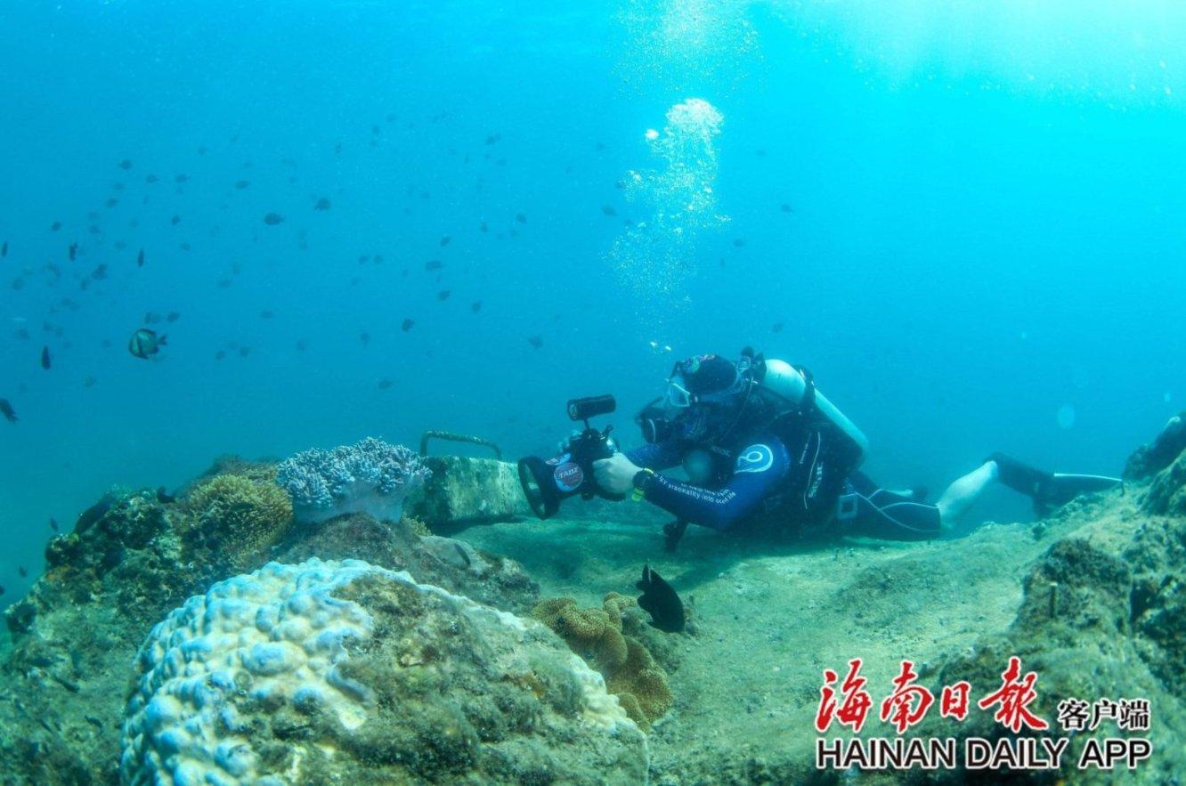 4399特战英雄