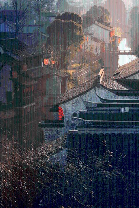 救援达尔马提亚狗